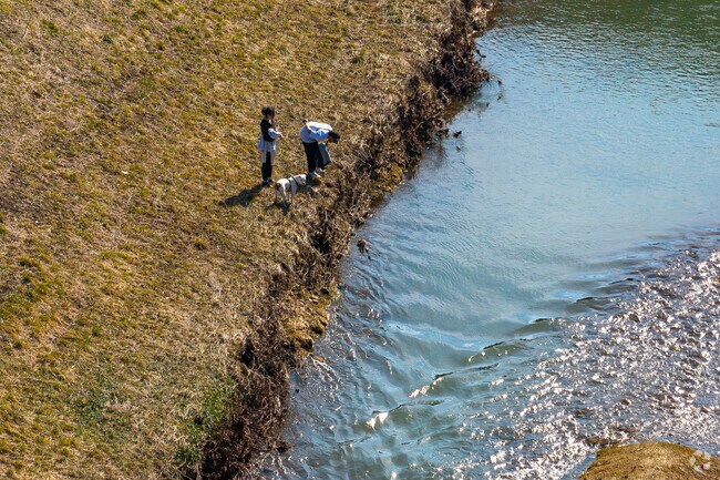Onondaga Creek is popular among dog walkers.
