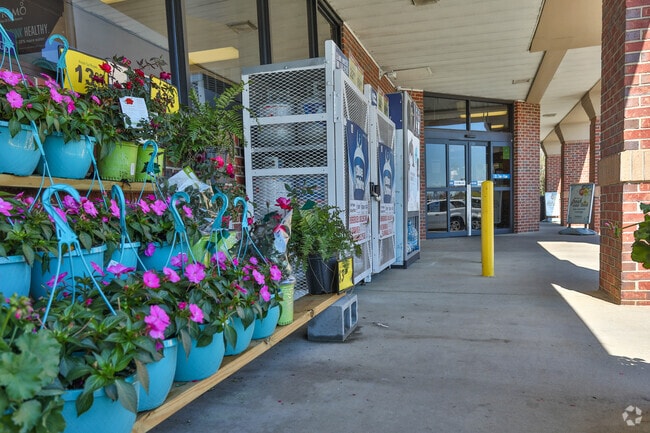 Pick up some spring flowers or your grocery essentials at Food Lion in Pendleton, SC.