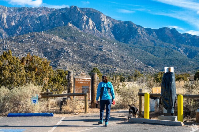 Endless trails beg to be explored in the Cibola National Forest near Cedar Grove.