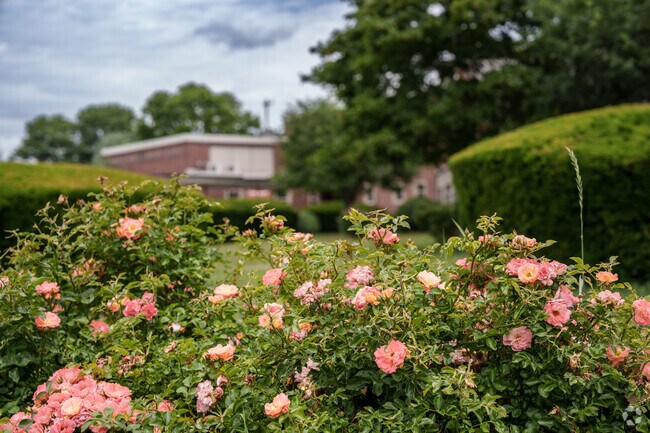 Thoughtful landscaping adorns Westbrook Park Elementary School's campus.