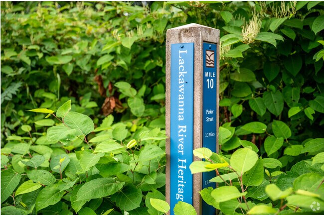 Get plenty of exercise in Pine Brook on the Lackawanna River Heritage Trail.