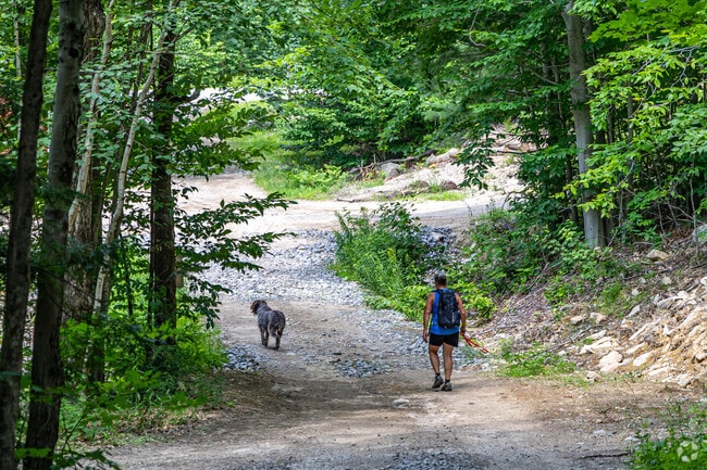 Enjoy a hike with your pet at Gunstock Mountain in Gilford.
