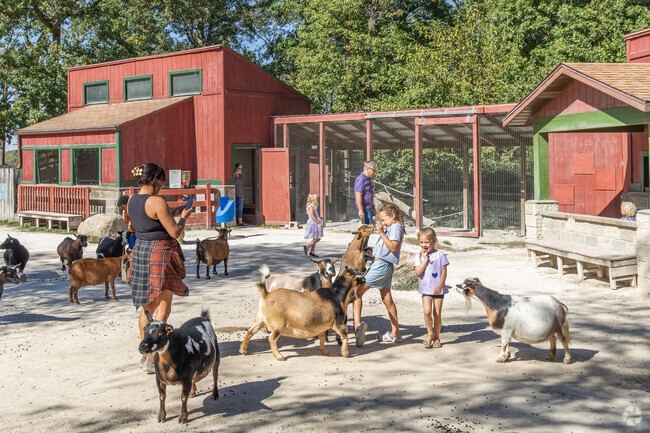 Discover animals from around the world at the Scovill Zoo in Decatur.