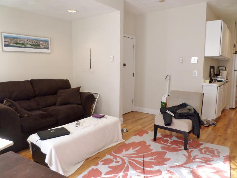 61 Westland Ave unit 1, Boston, MA 02115 - photo 1