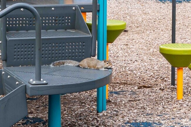 Even the wildlife in Columbus Park enjoy Indigenous People's Park.