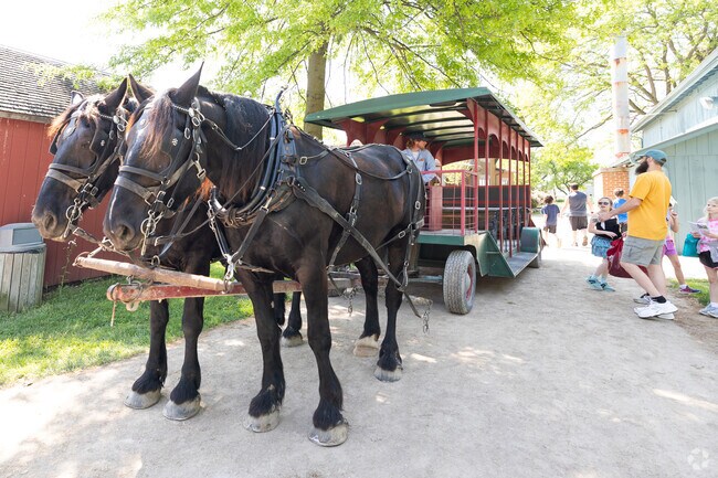 Take a buggy ride through Sauder Village in Archbold.