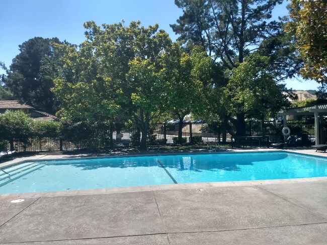 1930 Camino Verde unit D, Walnut Creek, CA 94597 - photo 3