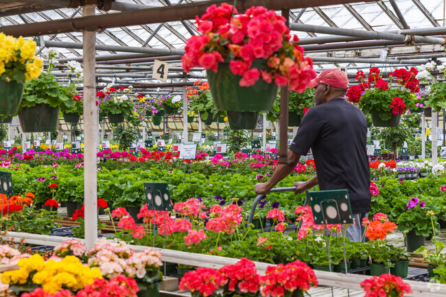 Spring Grove Village features many greenhouses such as A.J Rahn Greenhouses.