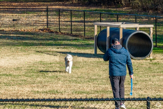 Residents love bring their dogs to the Mt. Juliet Dog Park.