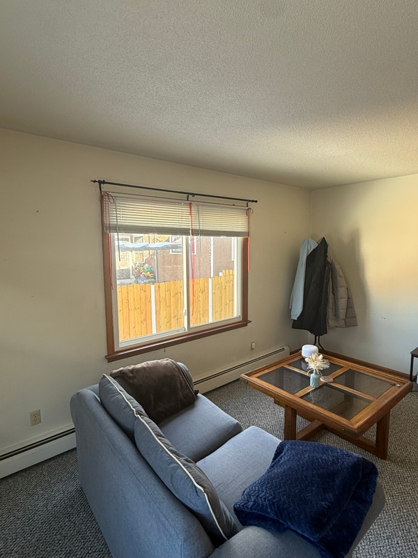 7 11th Ave NW Unit 4, Rochester, MN 55901