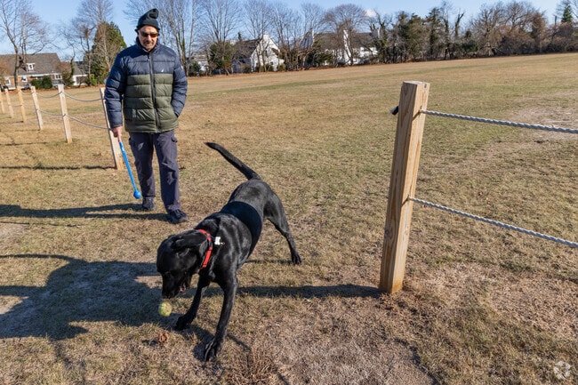 Let your dog play around on the great lawn in Westhampton Beach.