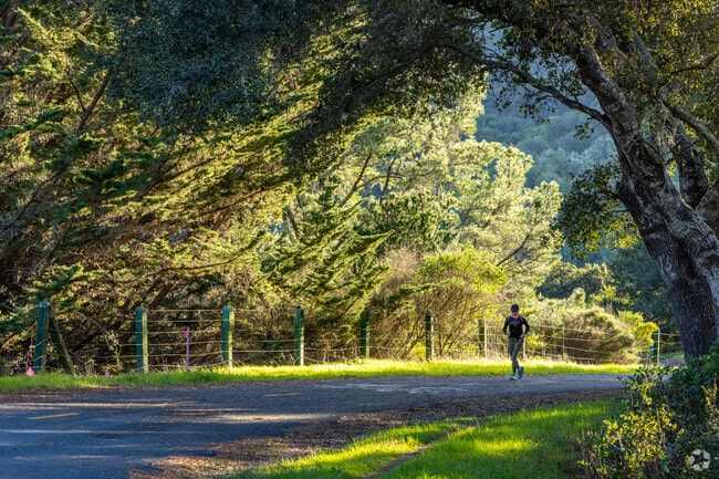 Joggers love the trails at San Andreas Lake near Burlingame Hills.