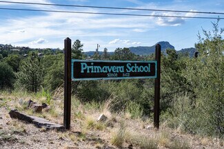 Primavera School