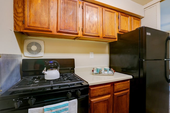 Hillen & Belvedere, Baltimore, MD 21239 - photo 6