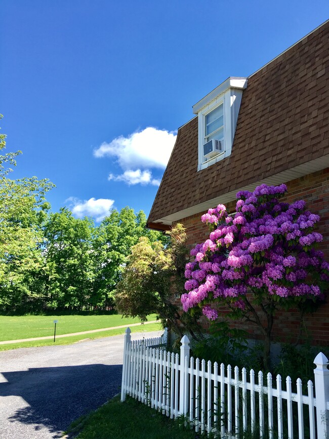 426 Winthrop Dr Unit 1, Ithaca, NY 14850