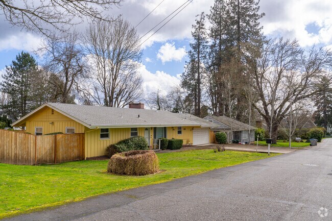 Tall old-growth trees bring a peaceful, natural feel to Greenburg Road's residential streets.