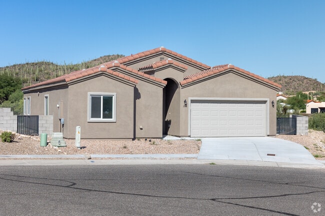 Tucson Park West #1 homes are predominantly stucco ranch-style houses.