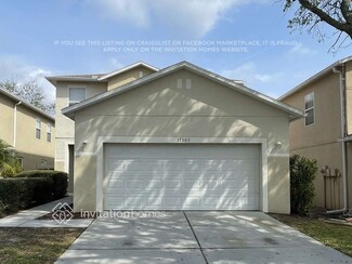 17503 Sandgate Ct, Land O' Lakes, FL 34638