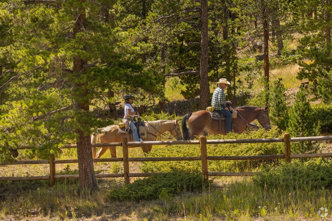 Allenspark has a quiet charm, proximity to nature, and access to the beautiful Rocky Mountains.