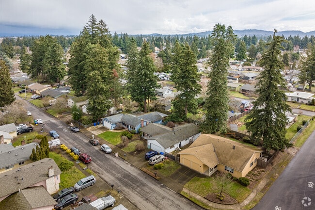 Plenty of trees in North Gresham.