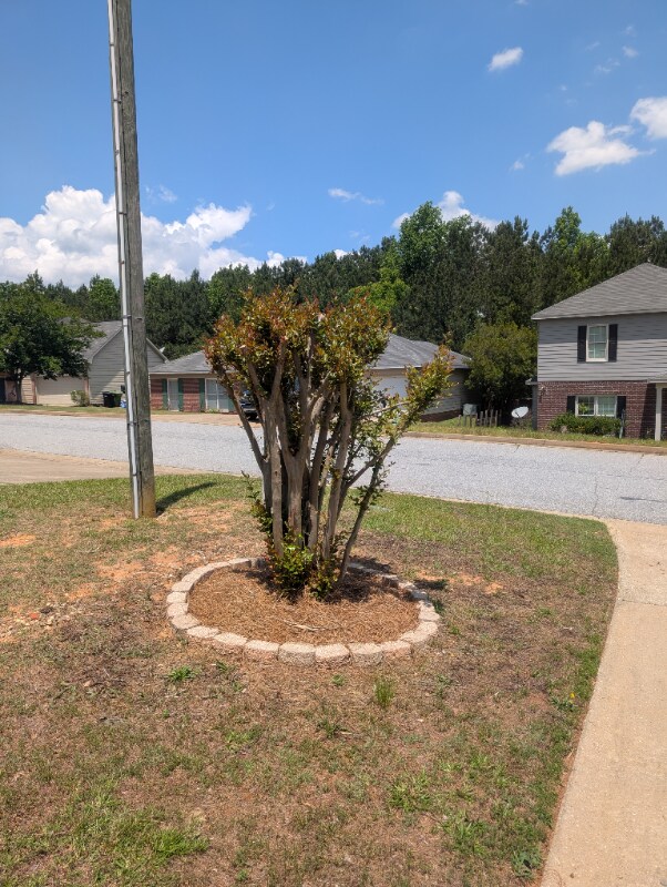 1341 Bunker Ridge Ln, Columbus, GA 31907 - photo 3