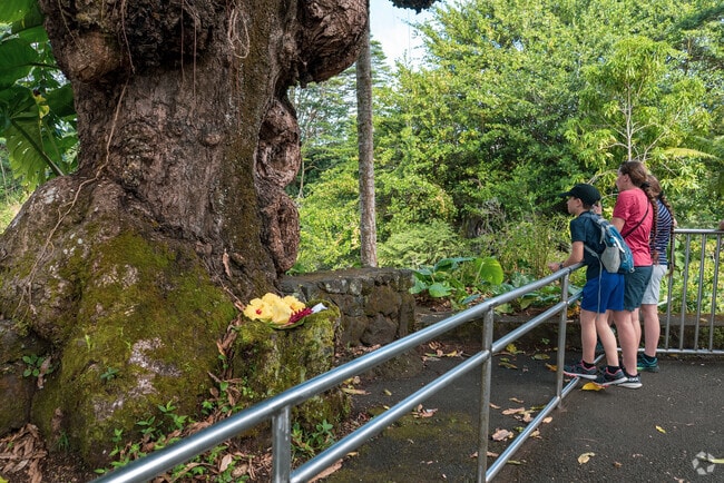 Visitors enjoy lush tropical scenery at Wailuku River State Park.