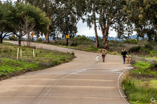 Enjoy a walk with the dogs at Lake Hodges.