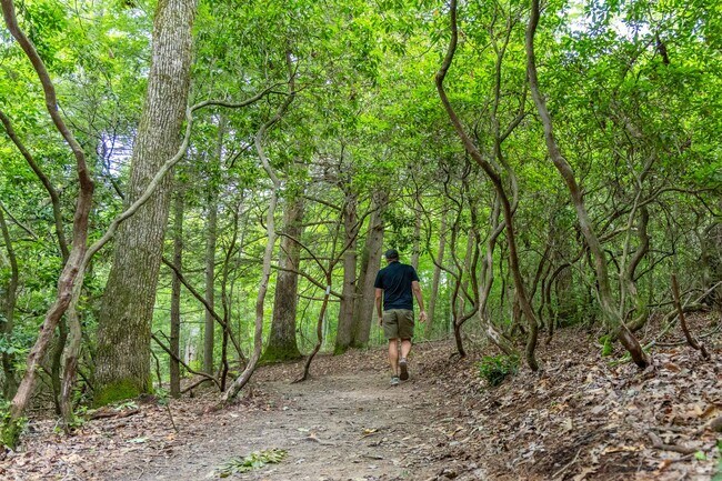 Greeter Falls has hiking trails that lead to waterfalls in Savage Gulf State Park.