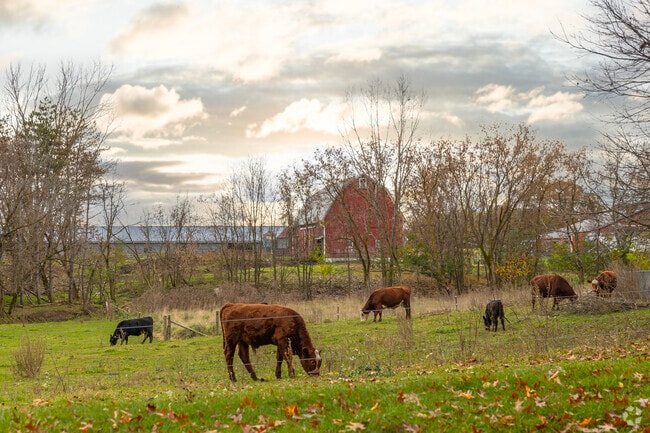 Dirt roads are often main roads in Northfield Township.