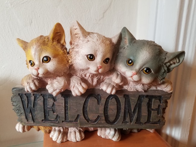 2037 Coyle St unit 2, Brooklyn, NY 11229 - photo 7