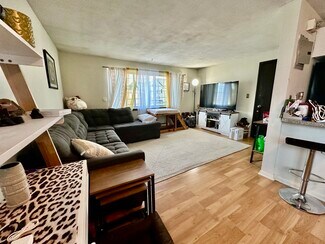 260 River St Unit 6, Waltham, MA 02453