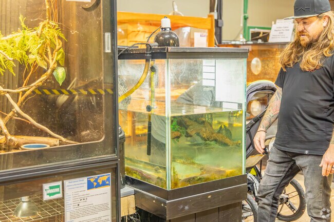 At the nearby Reptile Zoo, Chain Lake residents can be sure to see some truly awesome creatures.