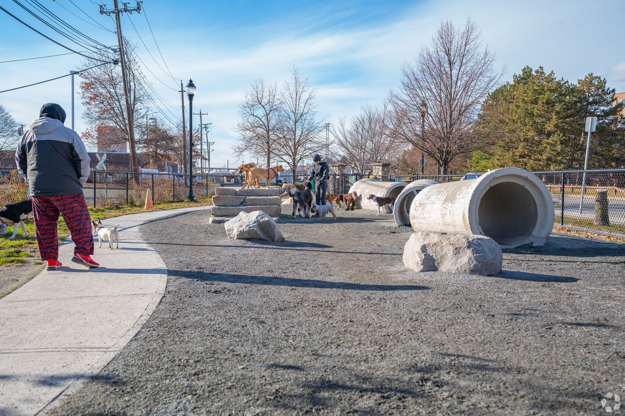 At Zero New Washington Dog Park in East Somerville, dogs can socialize and play.