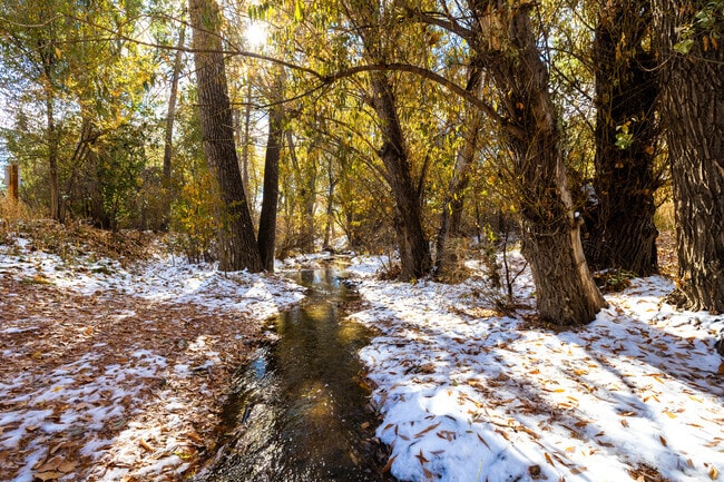 Soak in the natural beauty of Mesa River that runs through The Mesa neighborhood.