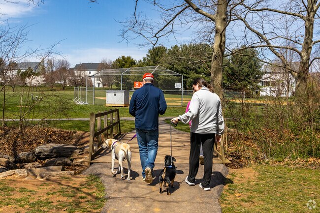 Clover Hill Park will be your pups new favorite place to soak up the sun.