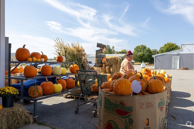 When in season, there are lots of spots throughout Auburn where you can grab a pumpkin.