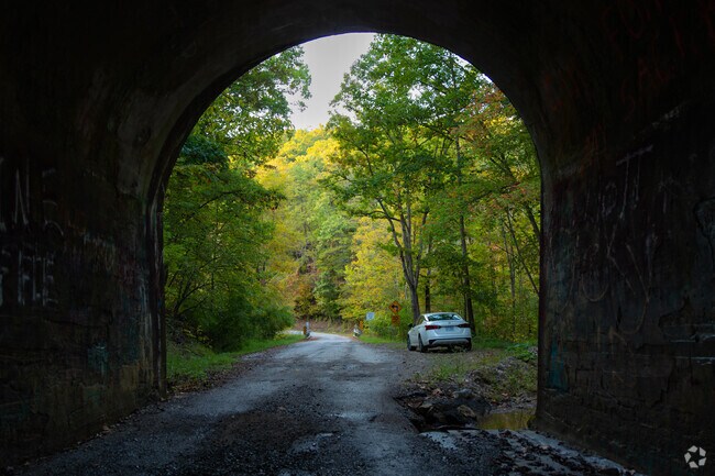 Originally built for coal transportation, Coal Hollow Tunnel is a part of Belview's history.