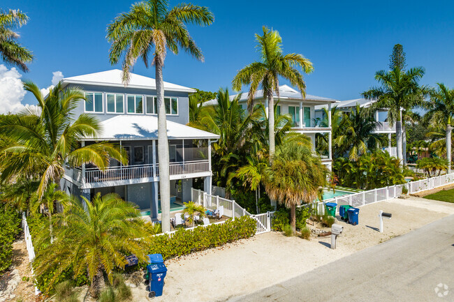 Multi level homes with swaying palm trees above in Bradenton Beach.