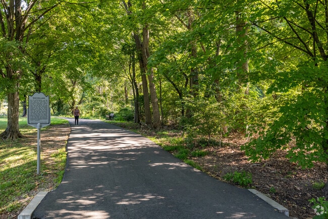 Explore the beauty of nature at Bluemont Park, where tranquility meets urban life.
