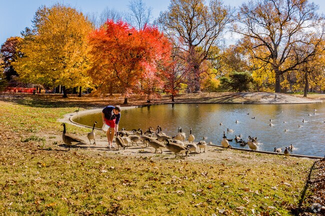 Stop and feed the geese on your walk along the waterside at Lafayette Park.