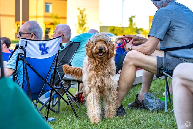 Big Band & Jazz is one of Lexington's longest-running and most beloved concert series.