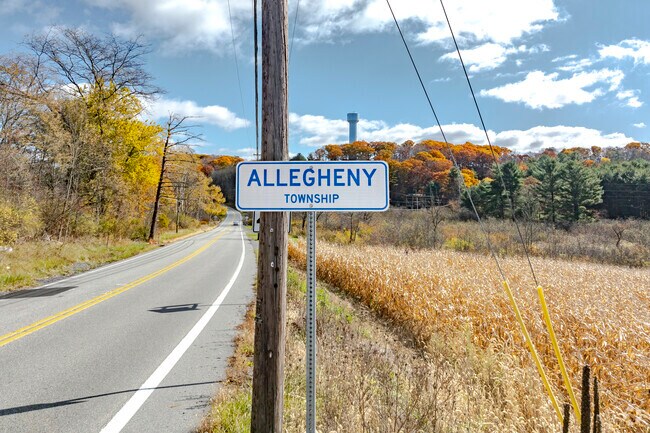 Allegheny is a rural area with small towns connecting the countryside.