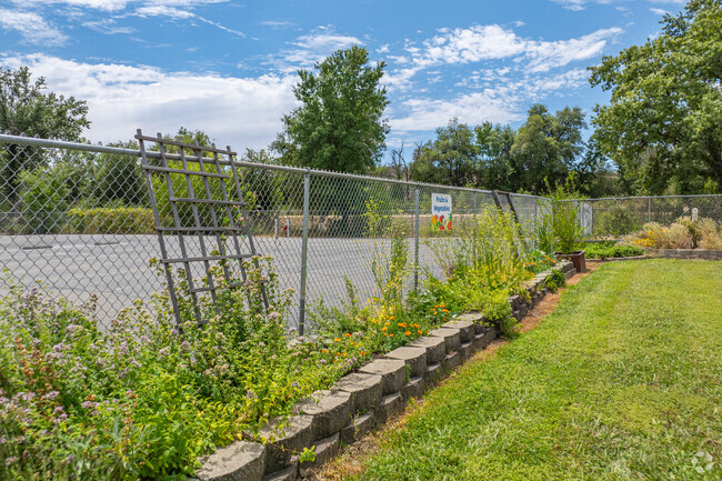 Sycamore Elementary School has a lush garden.