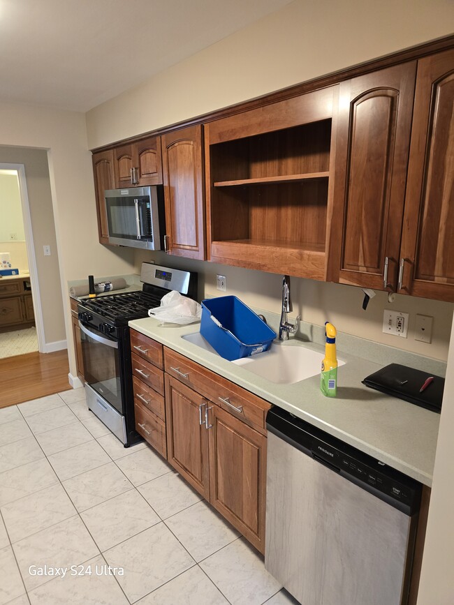 401 S Grove Ave unit 1A, Oak Park, IL 60302 - photo 5