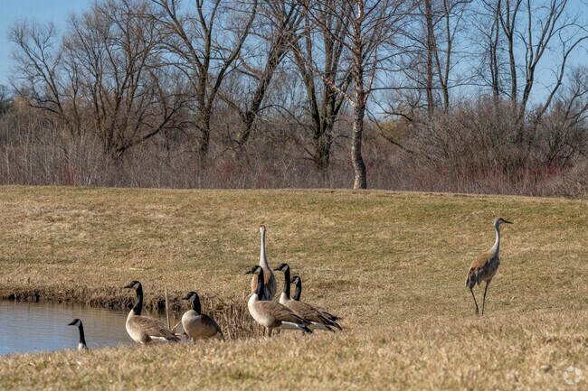 For birders in Oregon, Lerner Conservation Park has geese, sandhill cranes and more.