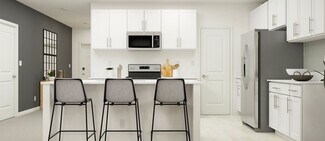 10038 Blazing Saddles Dr Unit 37164612, Wesley Chapel, FL 33525