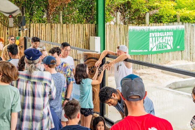 Learn the beauty of gators and pet them at Everglades Alligator Farm near Malibu Bay, FL.