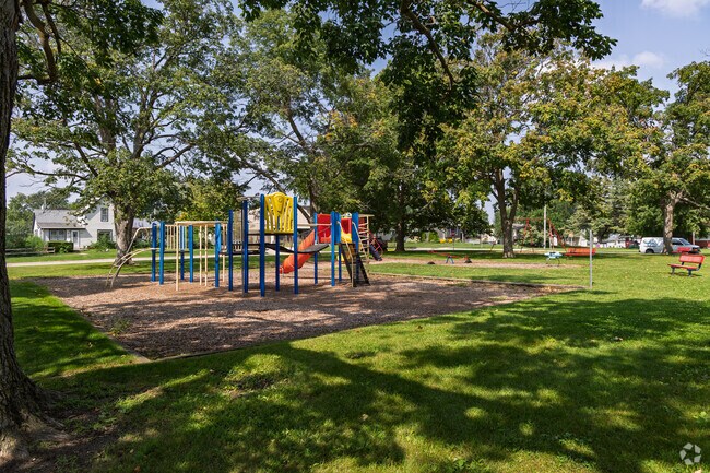 Like much of Nevada, Hattery Park is covered by lush shade trees most of the year.