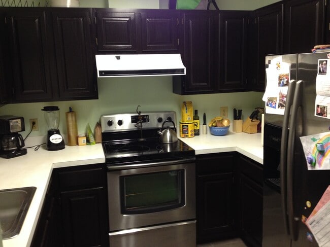 4411 Silverbrook Ln unit 301, Owings Mills, MD 21117 - photo 2