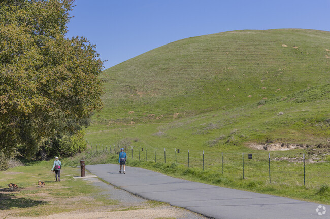Pine Creek has many beautiful hiking trails that are perfect for casual hikers and serious hikers alike.
